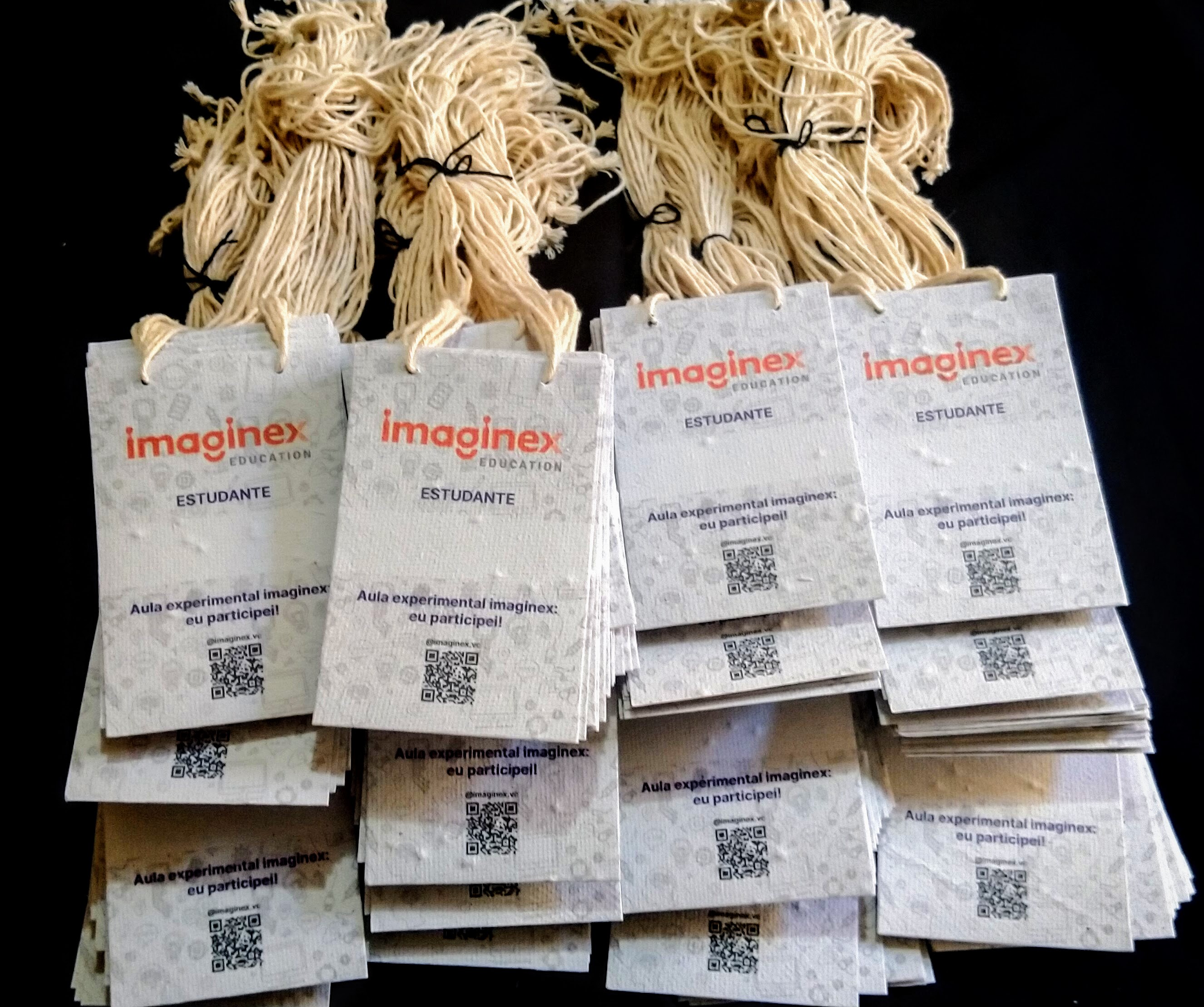 Crachá Imaginex OK